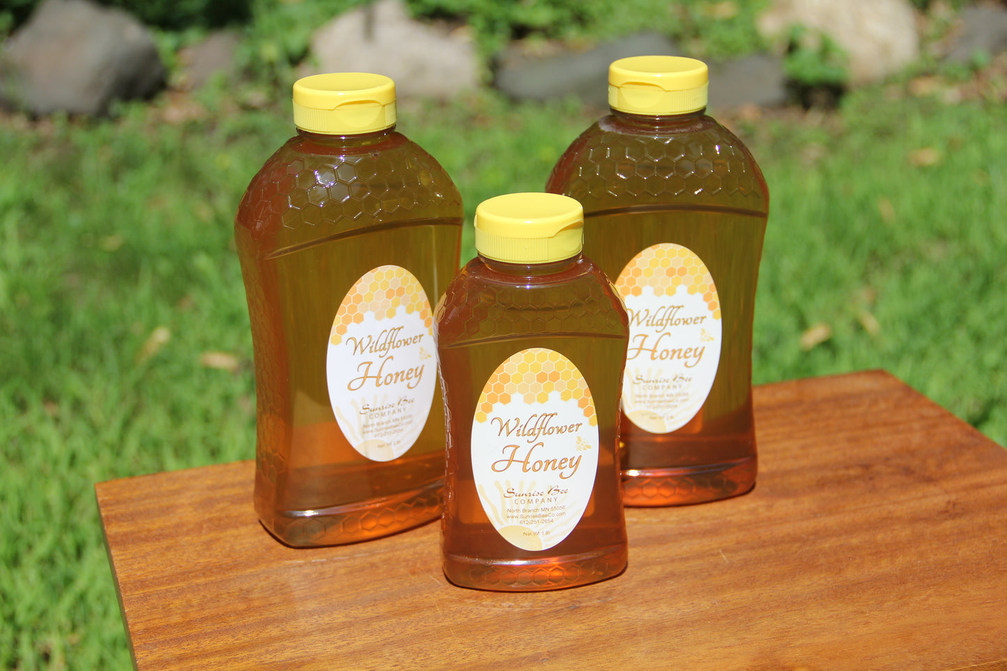 Honey in Squeeze Bottles